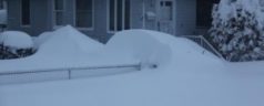 Nemo Numbs New Yorkers Under Blanket of Snow