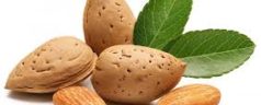 Would-be Almond Thief Caught Later After Crashing Car
