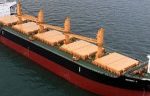 News from the New York Port