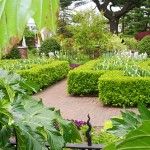 bronx-botanical-garden