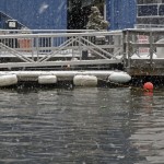 story_xlimage_2011_01_R3901_Chelsea_Pier_Dog_Rescue_1711