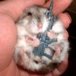 armed hamster