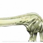 Mamenchisaurus