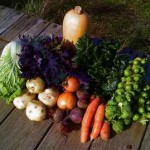 Organic Produce from the Full Plate Farm Collective