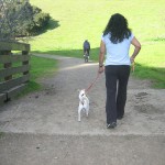 dog training : Doggy Doula