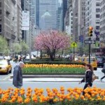 Park-Avenue-Manhattan.jpg