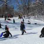 Sledding in Prospect Park