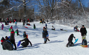 Parks Department's Snowy Day Fun