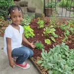 Sterling Community Garden
