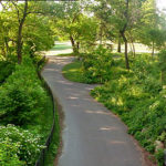 640px-ProspectPark_Brooklyn_Nethermead