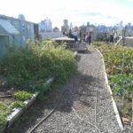 Brooklyn_Grange