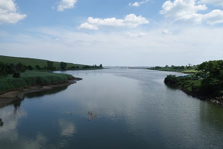 800px-Shore_Parkway_Greenway_td_2019-07-14_075_-_Hendrix_Creek
