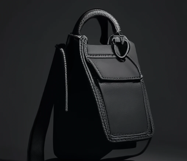 dior purse