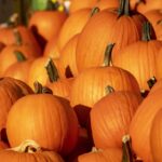 pumpkins-7528671_1280