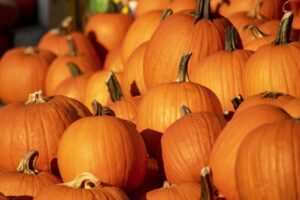 pumpkins-7528671_1280