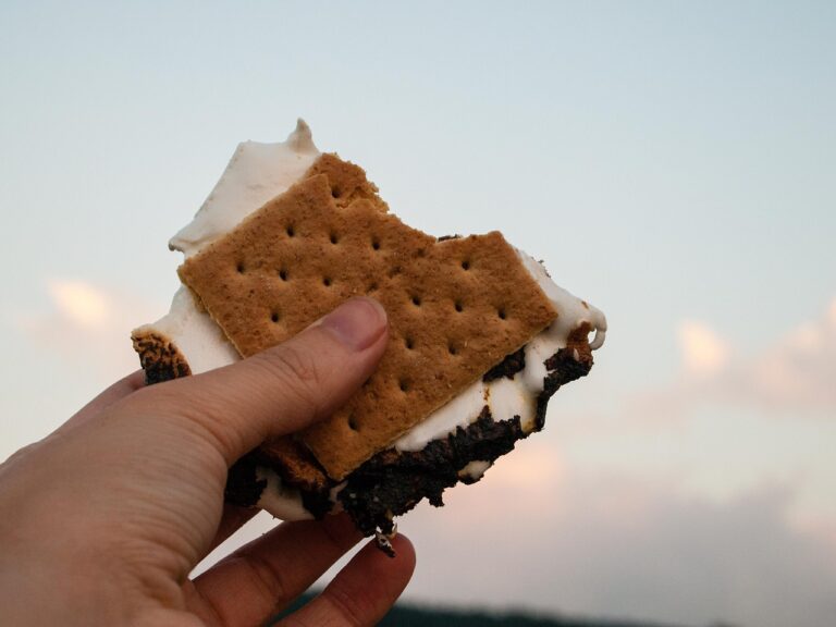 food-1934331_1280