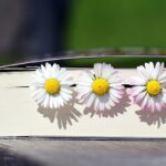 book-2319957_960_720