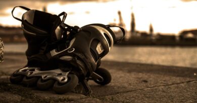 Free Winter Events at SKATE in Domino Park